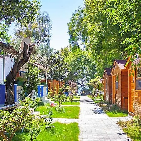 호텔 Naz In Antalya