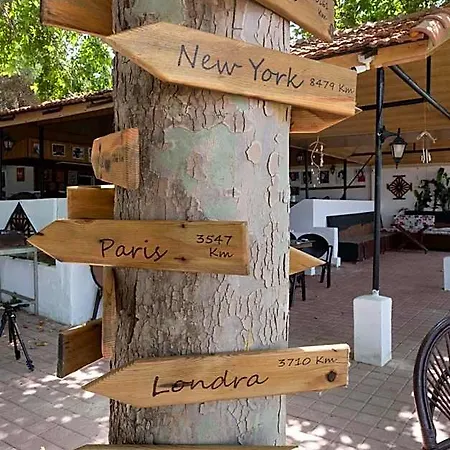Naz In Antalya * Haciobasi